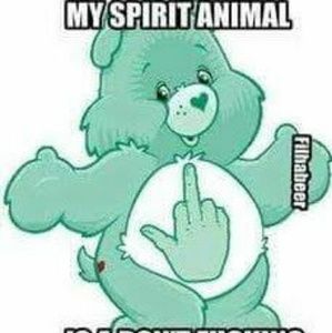 Meet your Posher, Jes